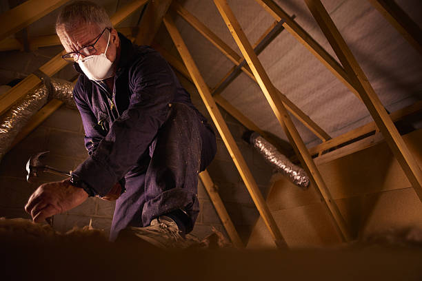 Best DIY Insulation Kits and Guidance in Riviera Beach, MD